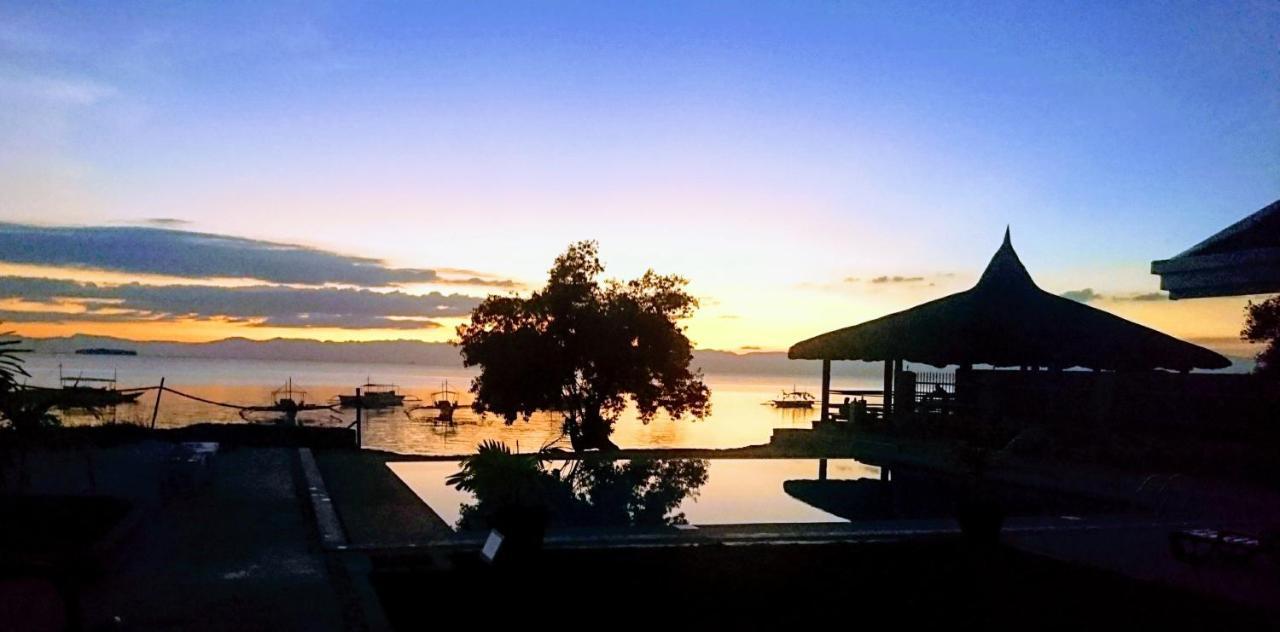 Cebu Seaview Dive Resort Моалбоал Екстериор снимка